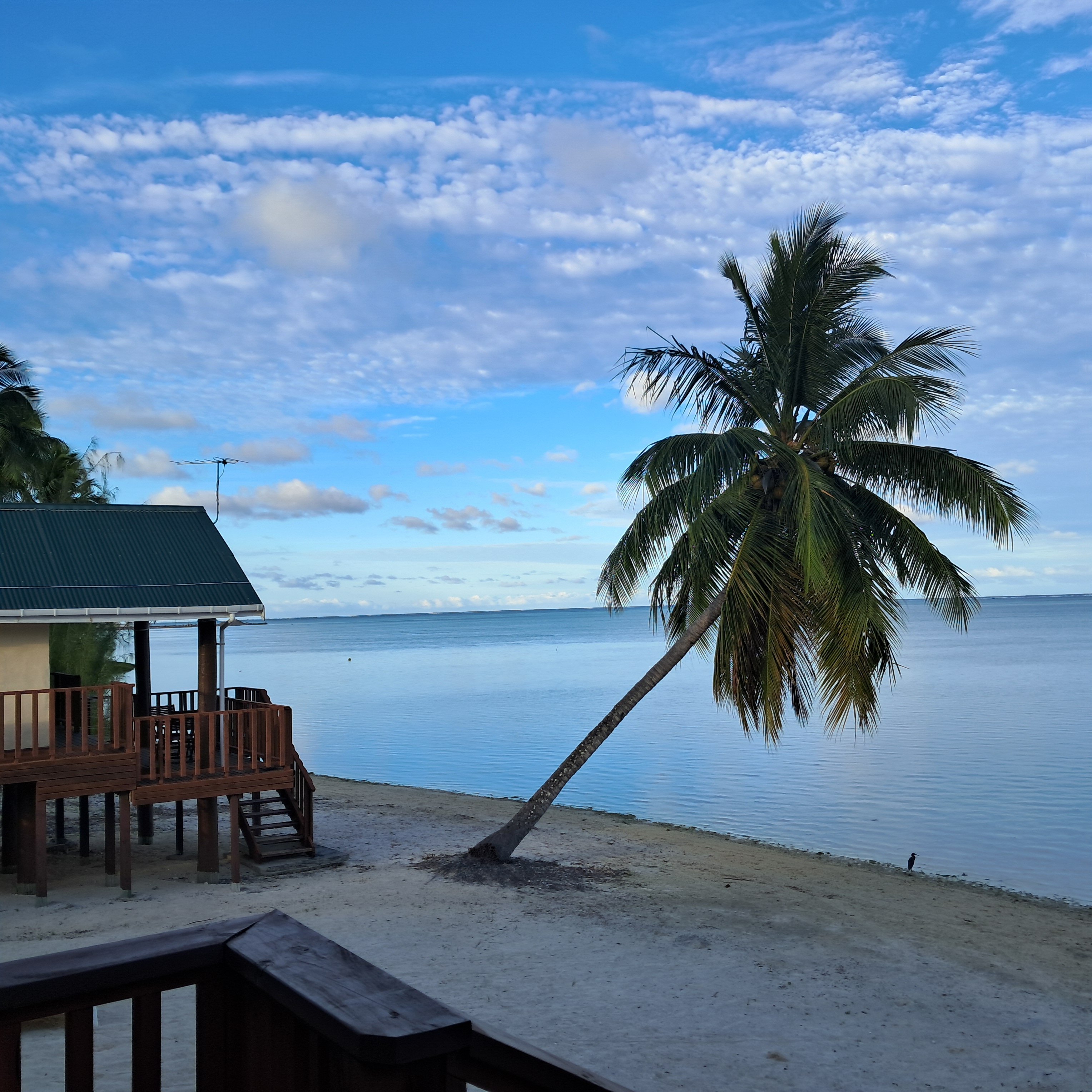 Rino's Motel-酒店景观