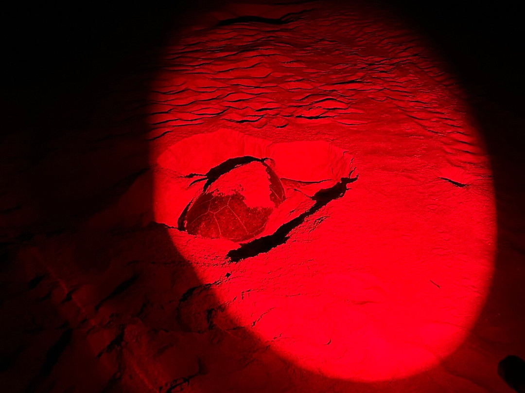 拉斯阿杰斯科学馆-Al Hadd必去景点