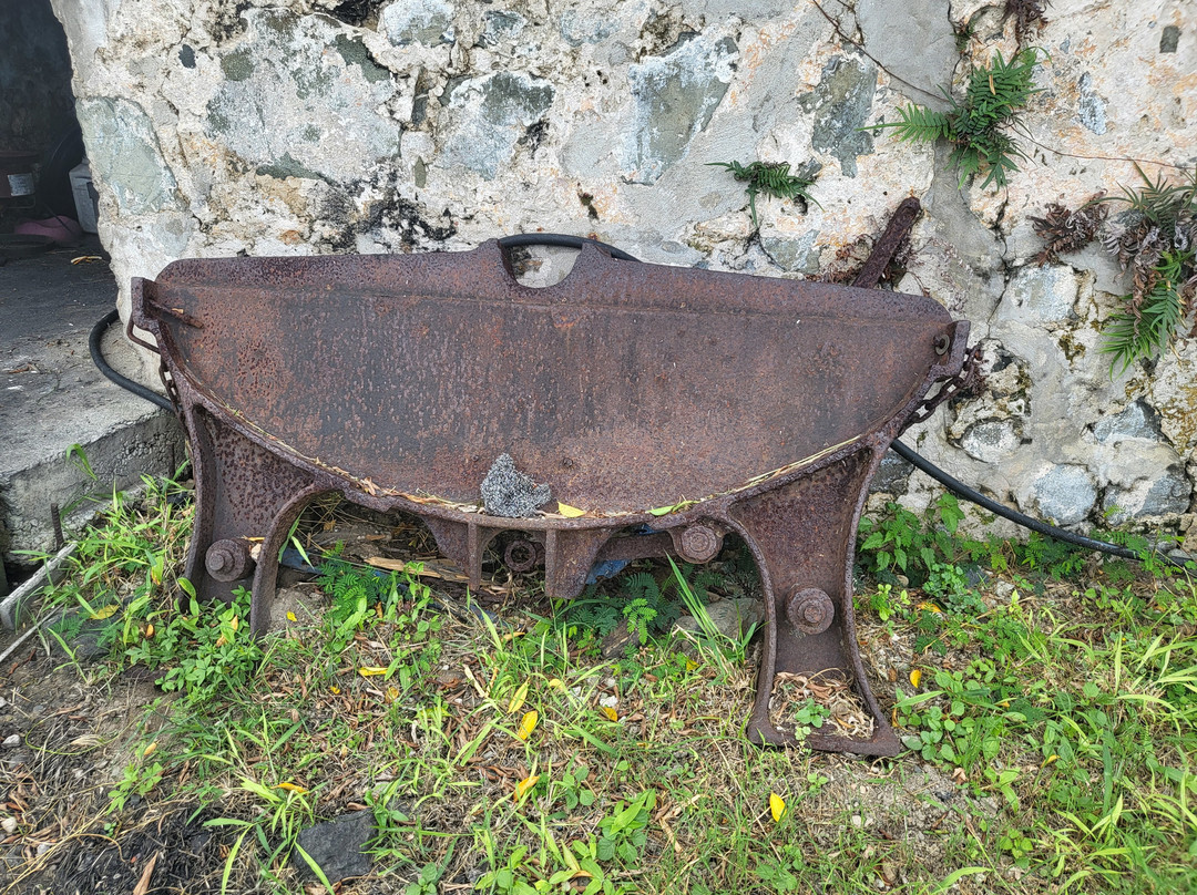 Estate Whim Museum-Frederiksted必去景点