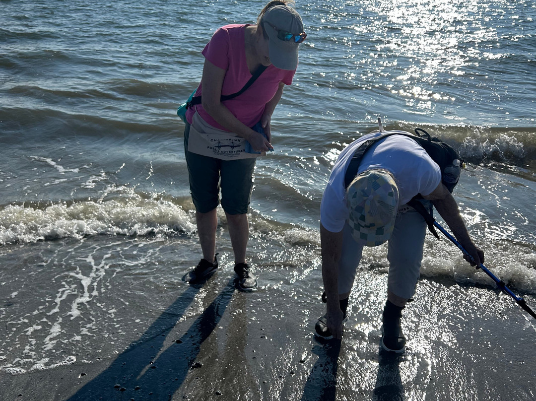 Charleston Fossil Adventures-查尔斯顿必去景点