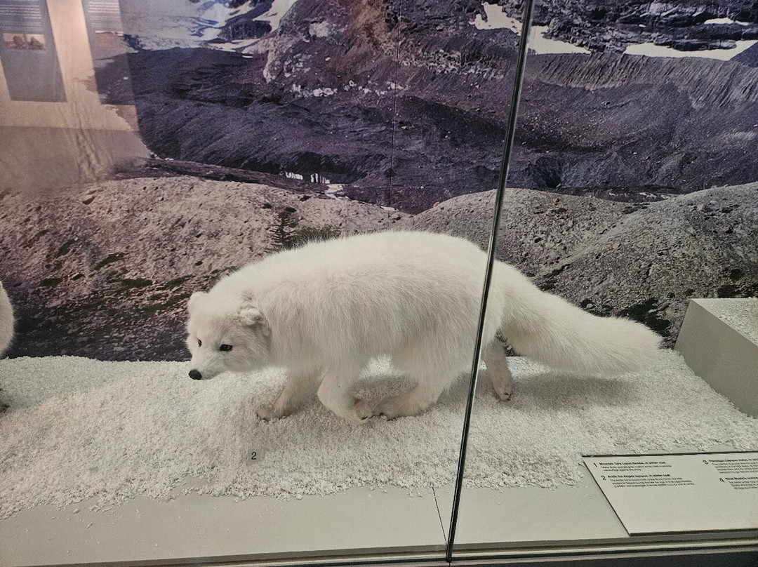 阿尔斯特博物馆-贝尔法斯特必去景点