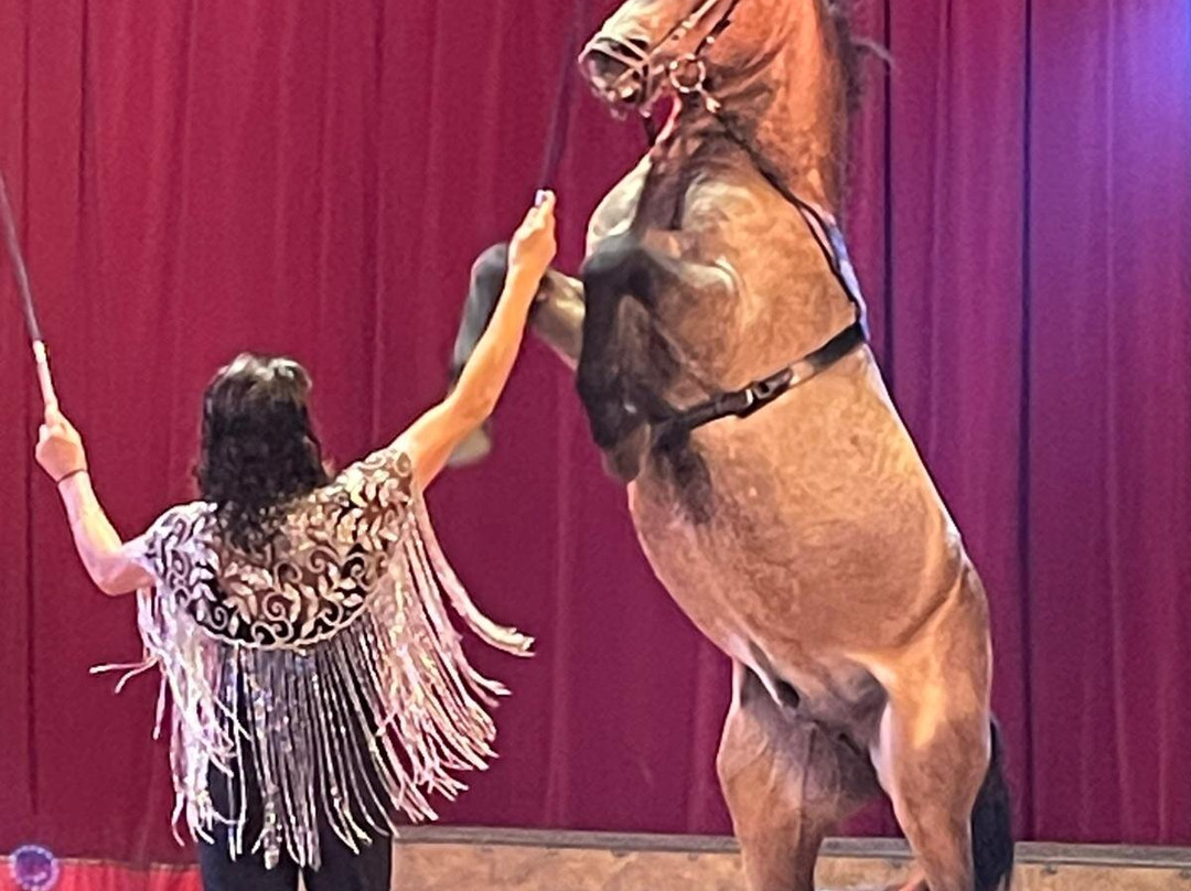 Chapiteau Esprit de cirque-Neoules必去景点