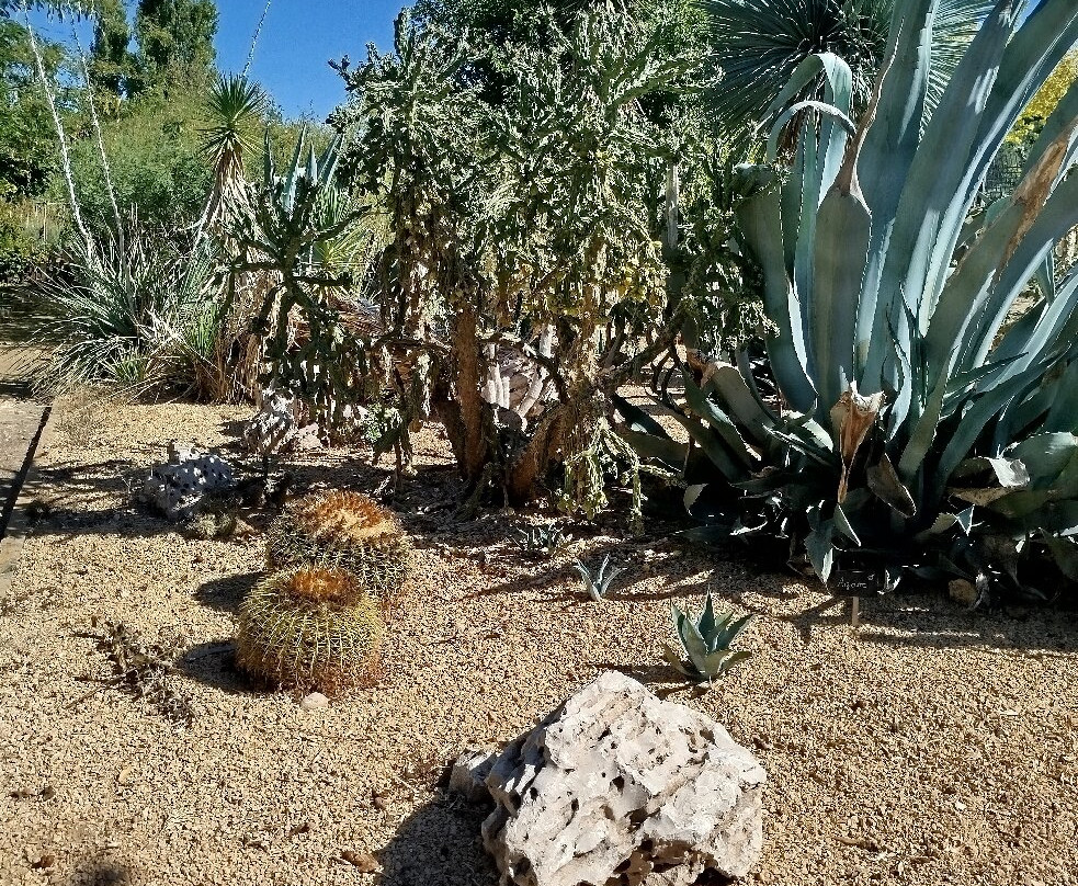 Jardin Botanico de Castilla-La Mancha-阿尔瓦塞特必去景点