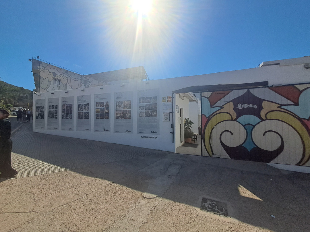 Mercadillo Las Dalias-Sant Carles de Peralta必去景点