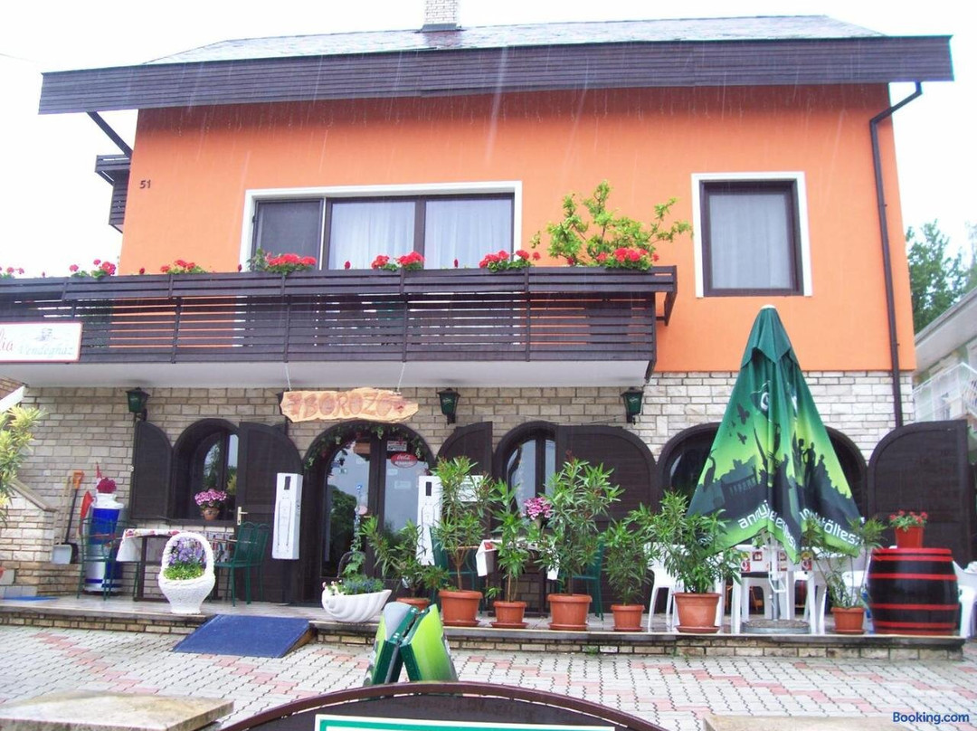 Julia Vendeghaz主图