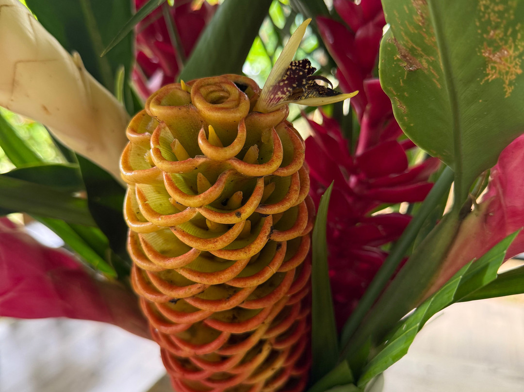 Maleku Tours-利比里亚必去景点