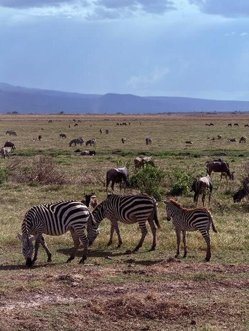 Mastrolindo Escursioni e Safari Kenya-瓦塔木必去景点