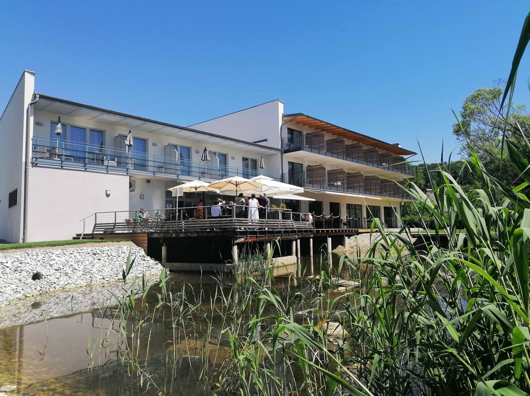 Gossendorf酒店住宿-Green Business Hotel Am Mühlengrund