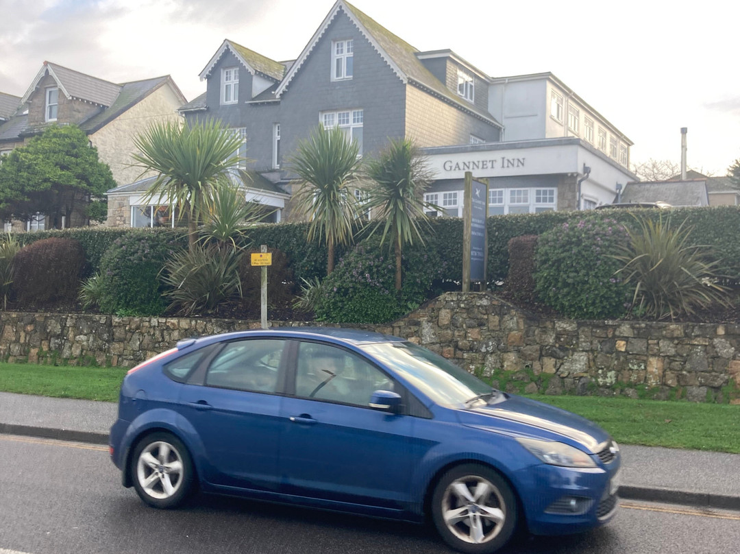The Gannet Inn主图