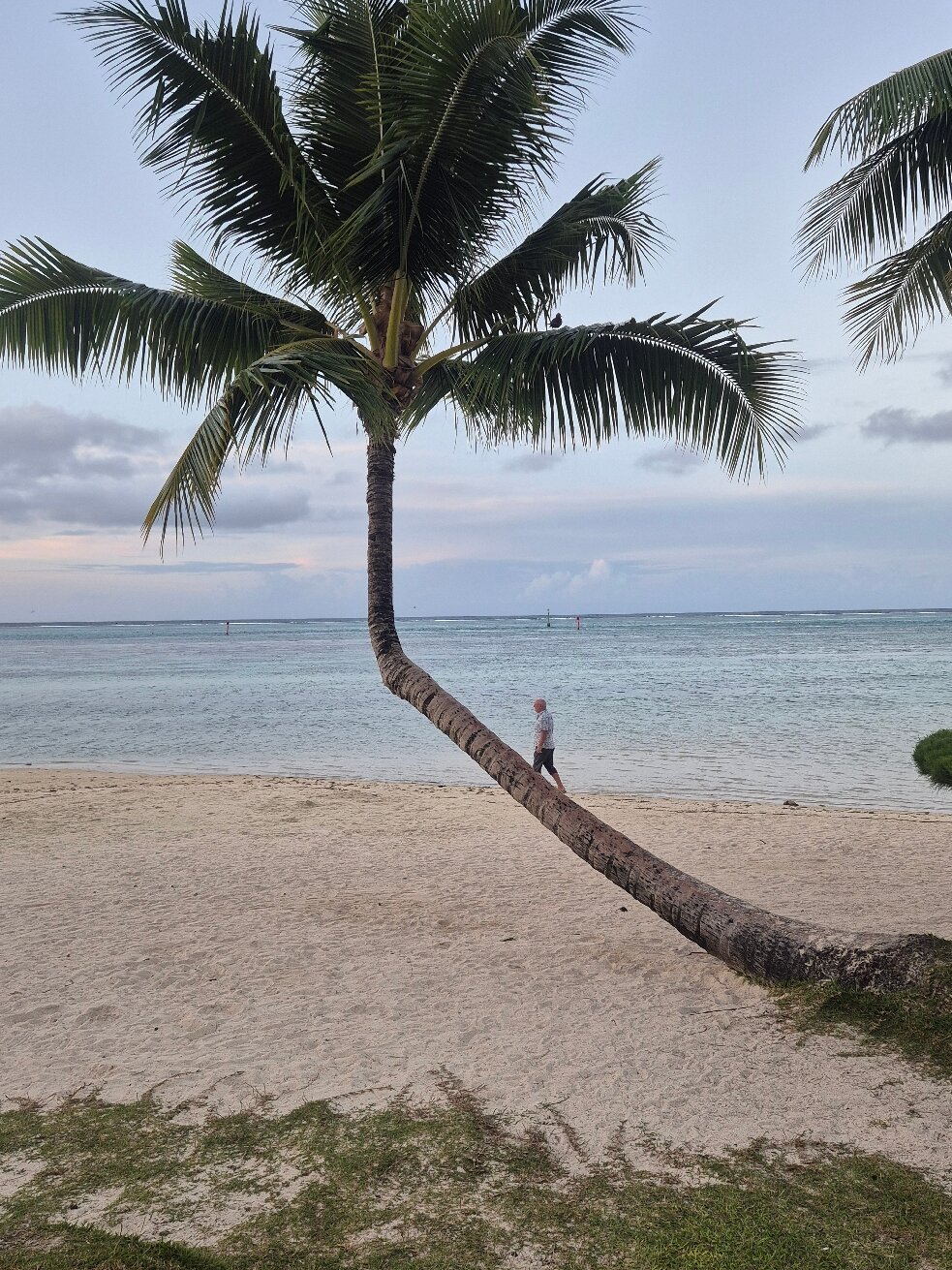 Les Tipaniers Hotel-官方