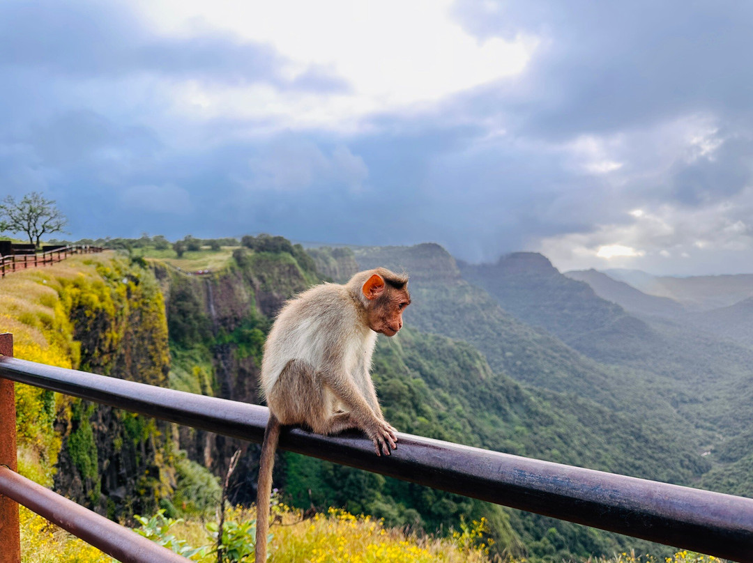 Amboli Water Falls-Amboli必去景点