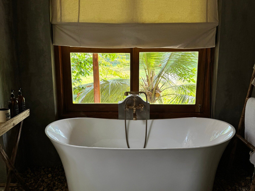 The Jungle Loft Galle主图