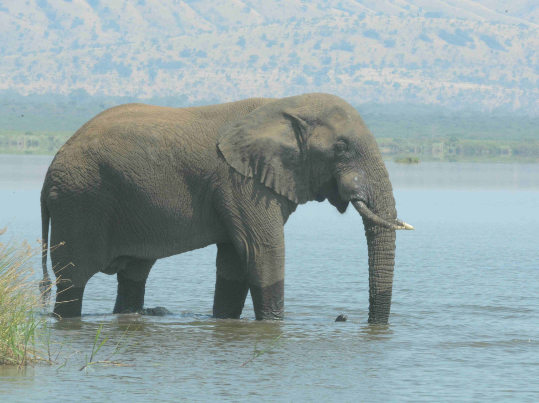 Akagera National Park-Eastern Province必去景点