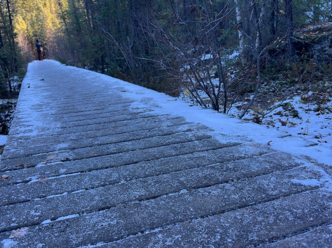 My Backyard Tours-黄刀镇必去景点