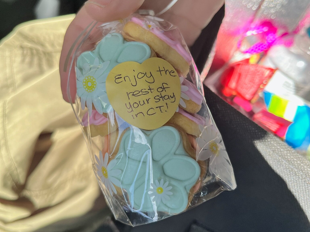 AMG Shuttle & Tours-Brackenfell必去景点