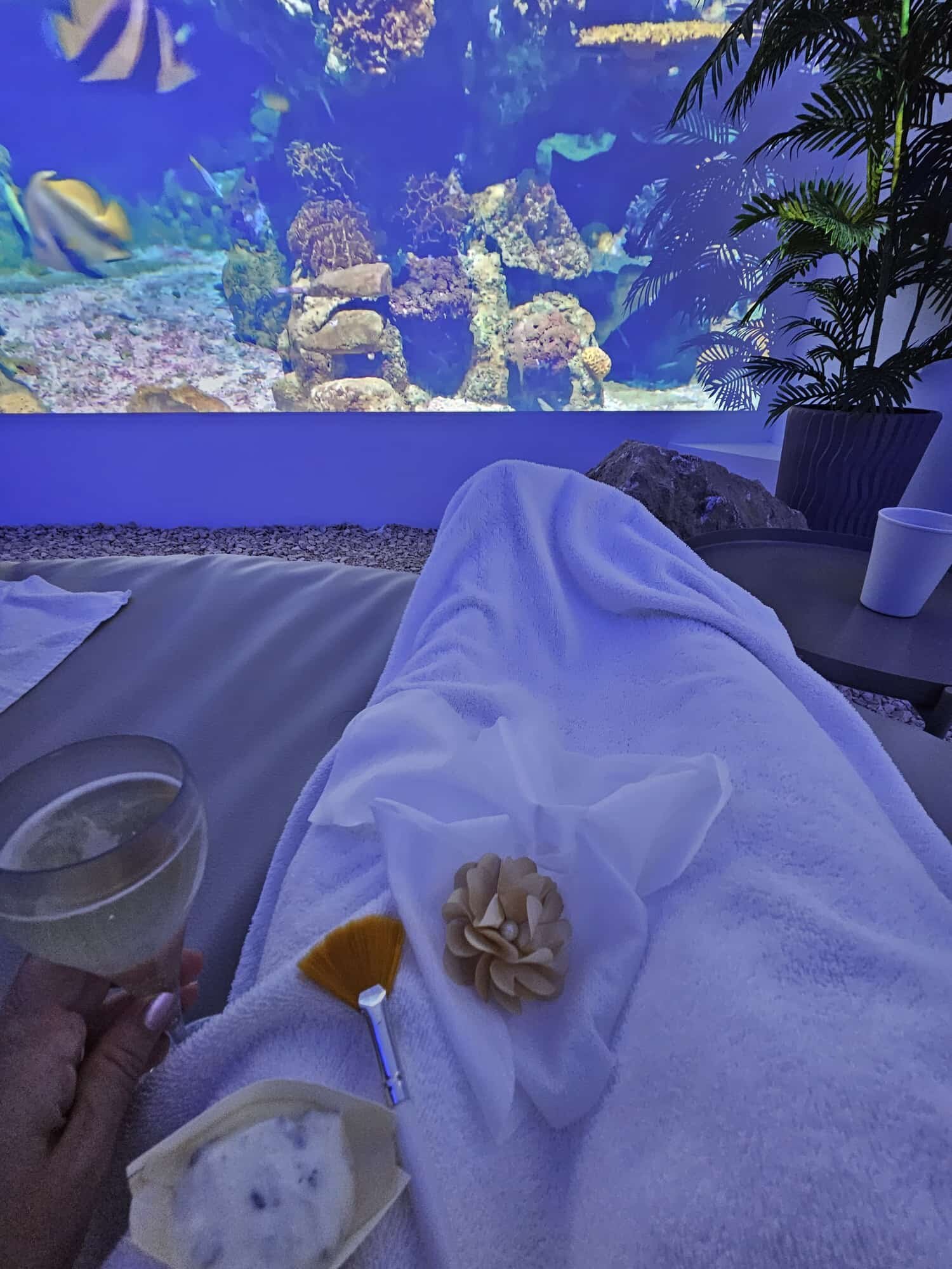 Mawell Resort-官方