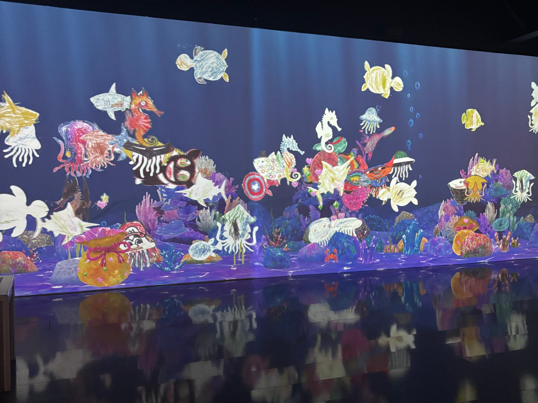 OliOli-迪拜必去景点