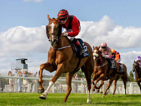 Naas Racecourse-纳斯必去景点