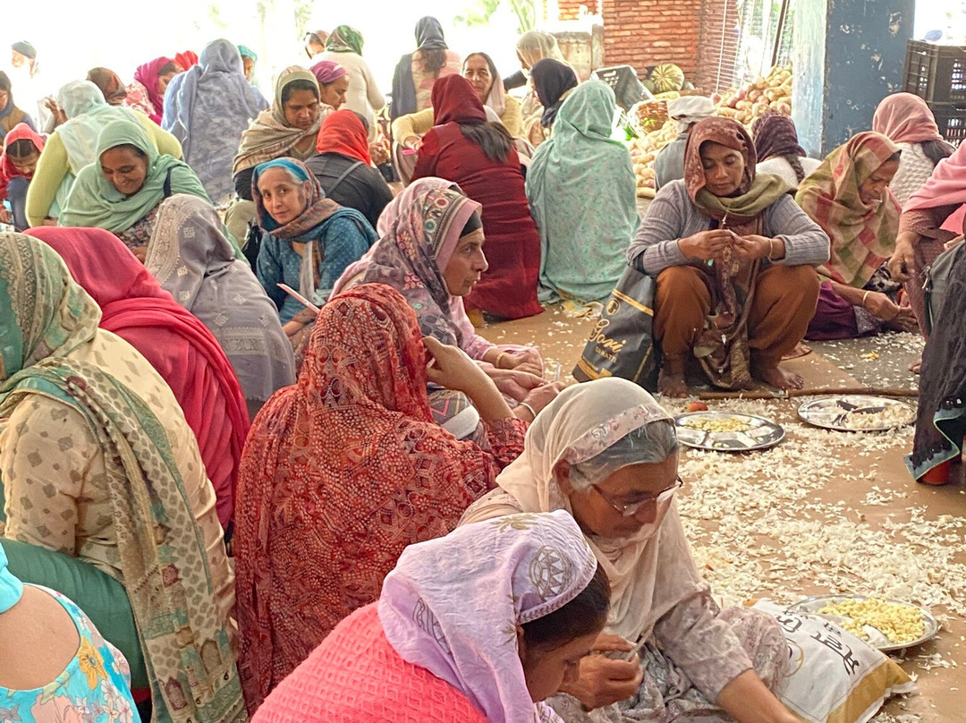 Times India Travels-斋蒲尔必去景点