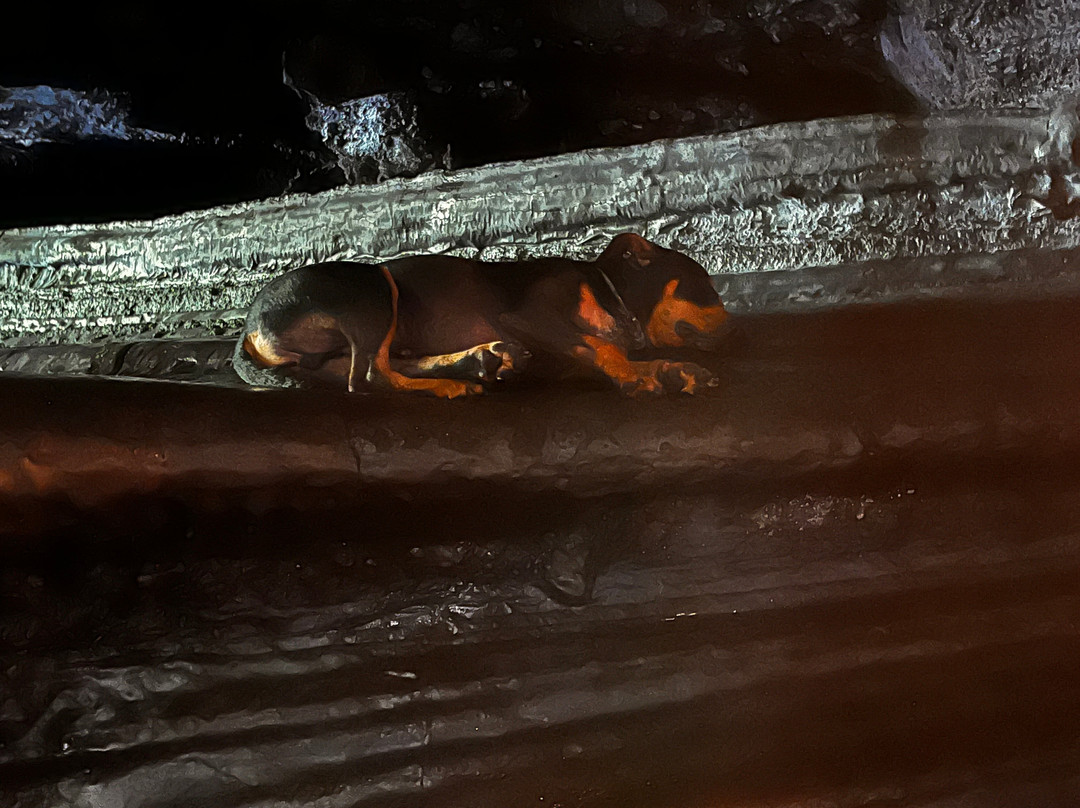 Ricaric-Langevin必去景点