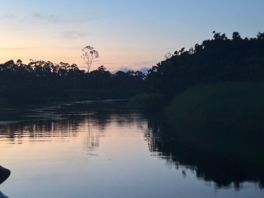 Blackwater Adventures-乔治城必去景点