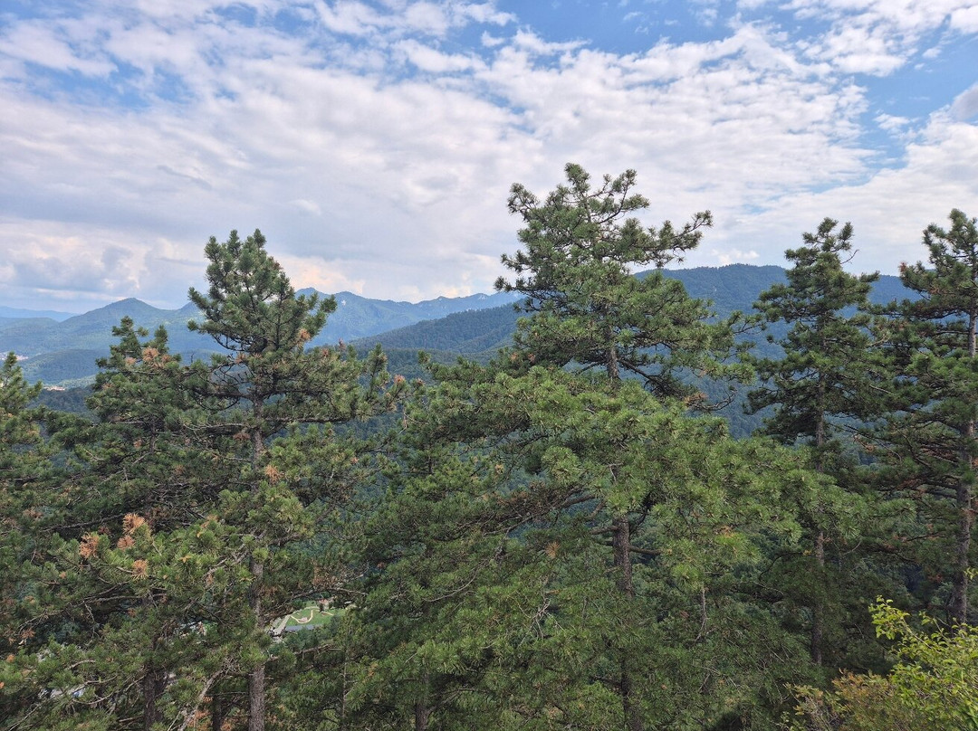 Muntele Tâmpa-布拉索夫必去景点