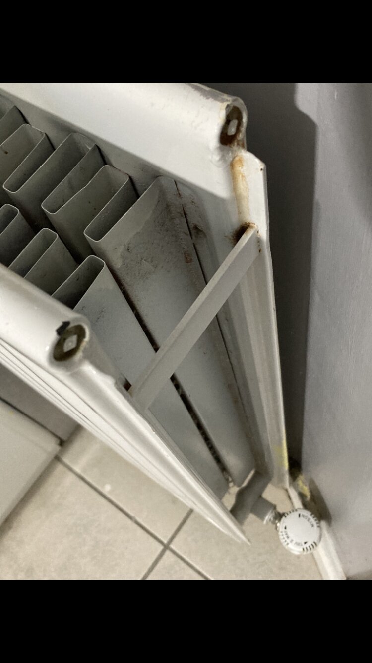 The Bannville Hotel-客卧