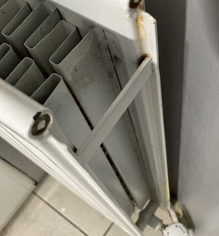 The Bannville Hotel主图