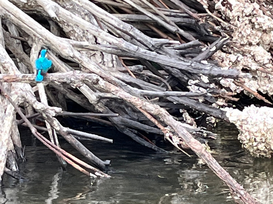 Capital Lanka Tours-科伦坡必去景点