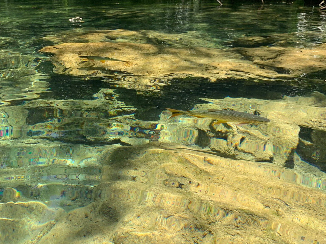 Rio do Peixe-南马托格罗索州必去景点