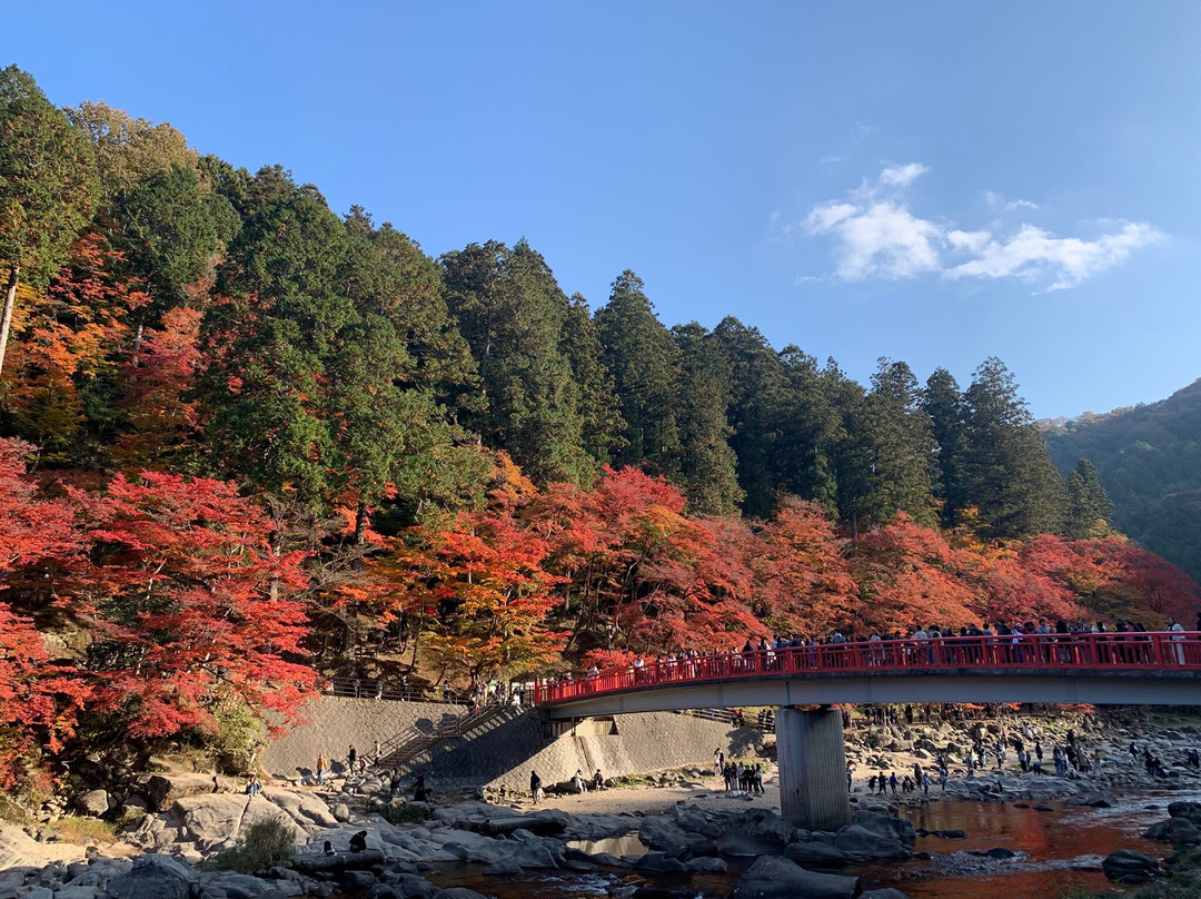Koran Valley-丰田市必去景点