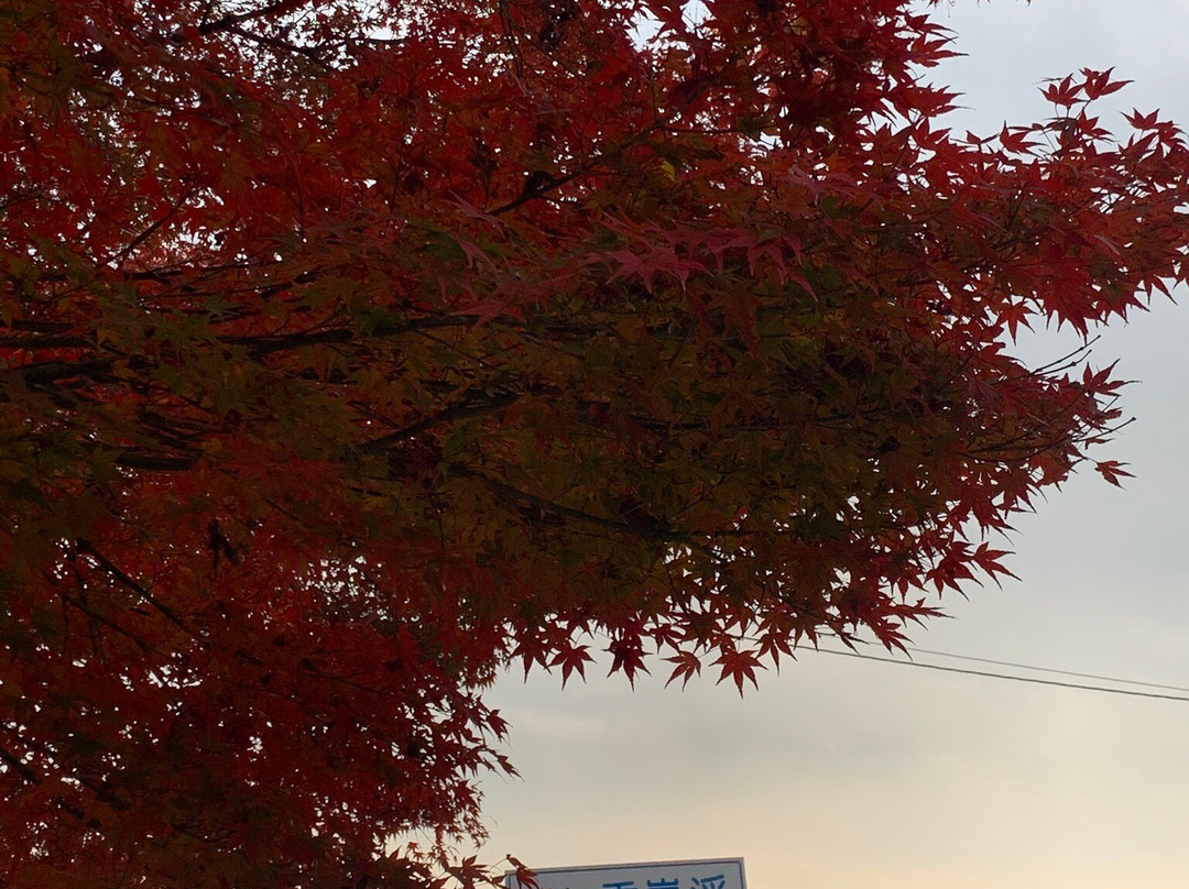 Koran Valley-丰田市必去景点