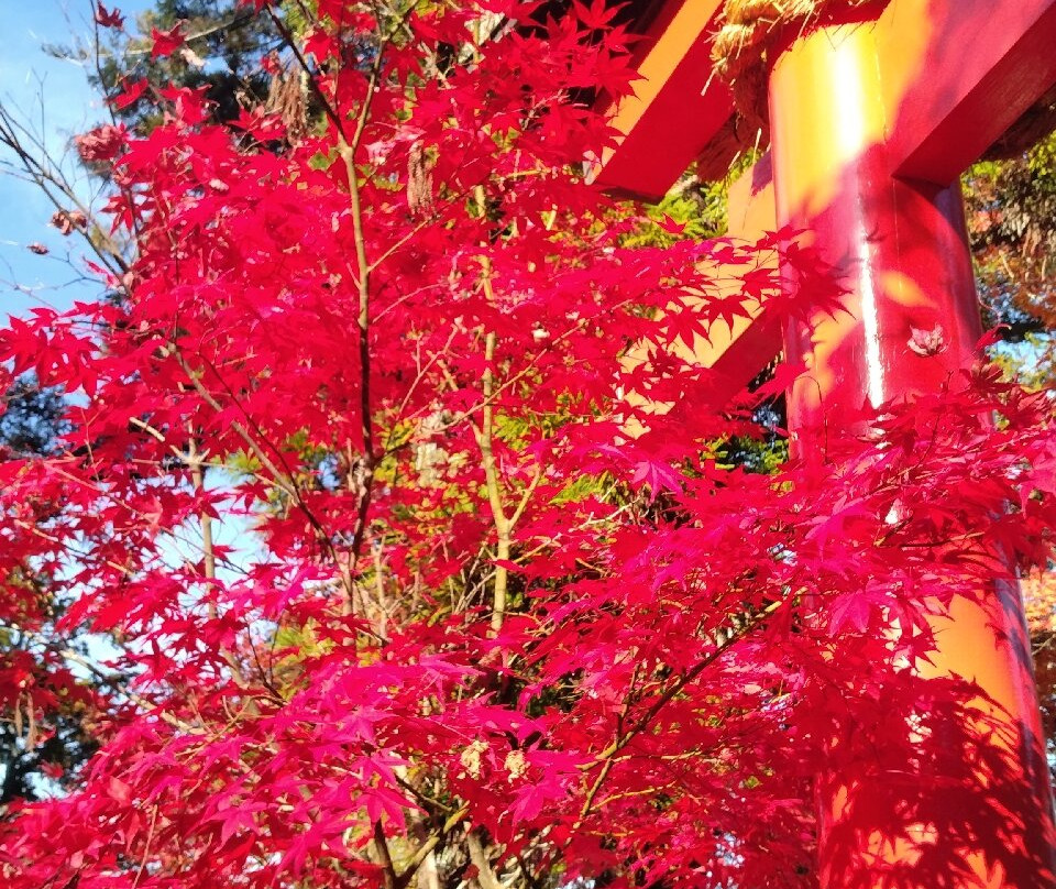Kuwayama Shrine-龟冈市必去景点