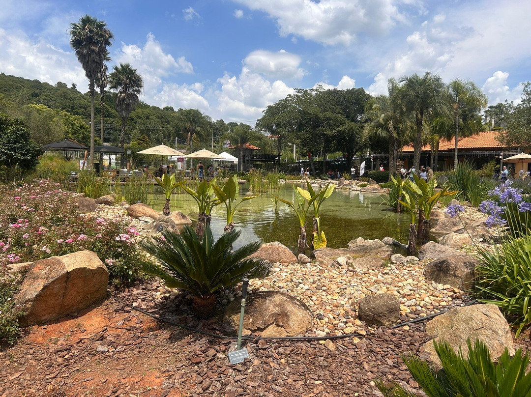 Vinicola Goes-Sao Roque必去景点