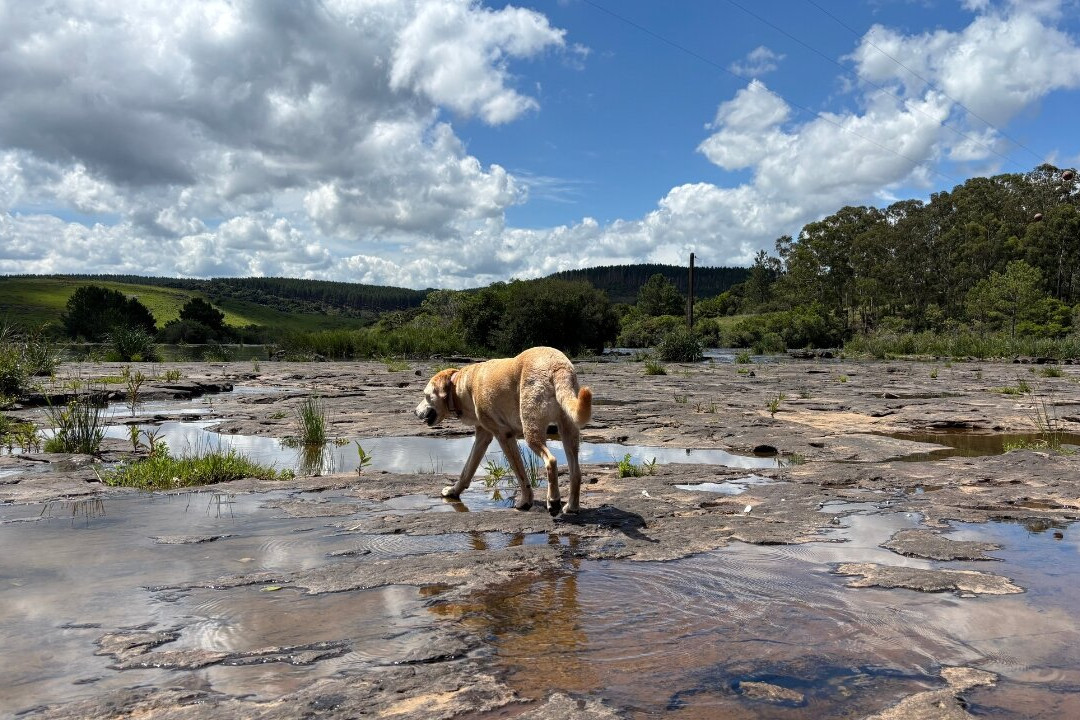 Barragam do Blang-Sao Francisco de Paula必去景点