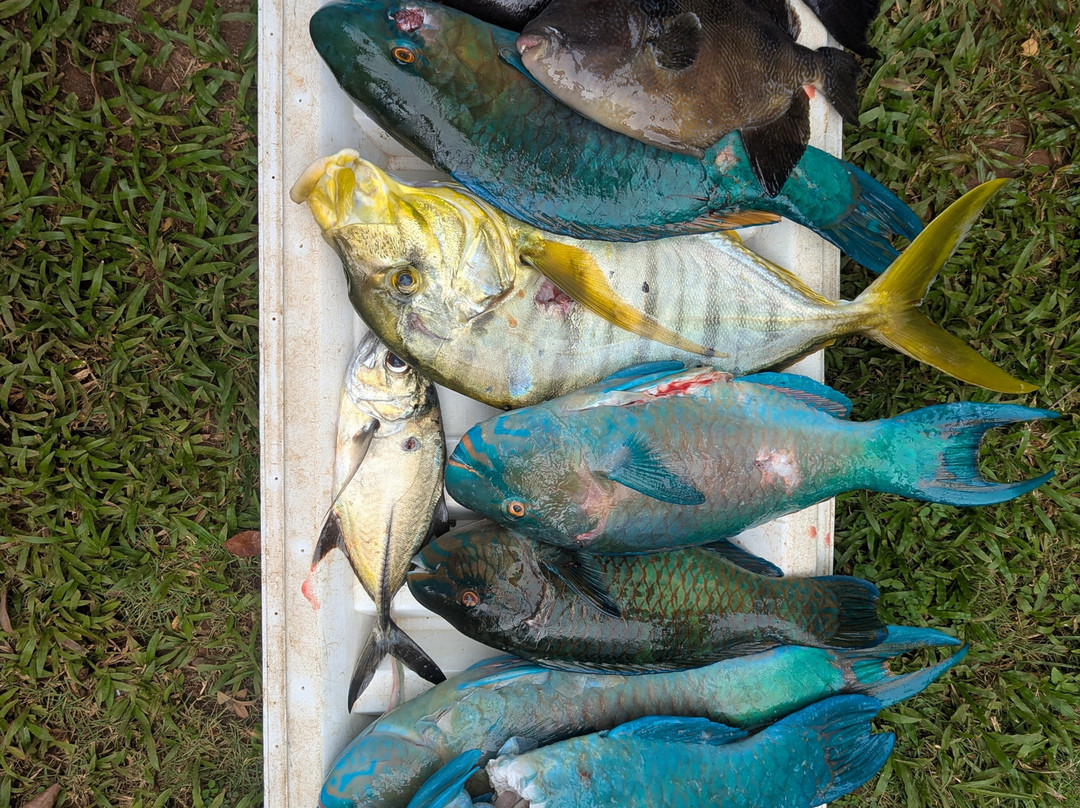 Spearbaby-Santa Catalina必去景点