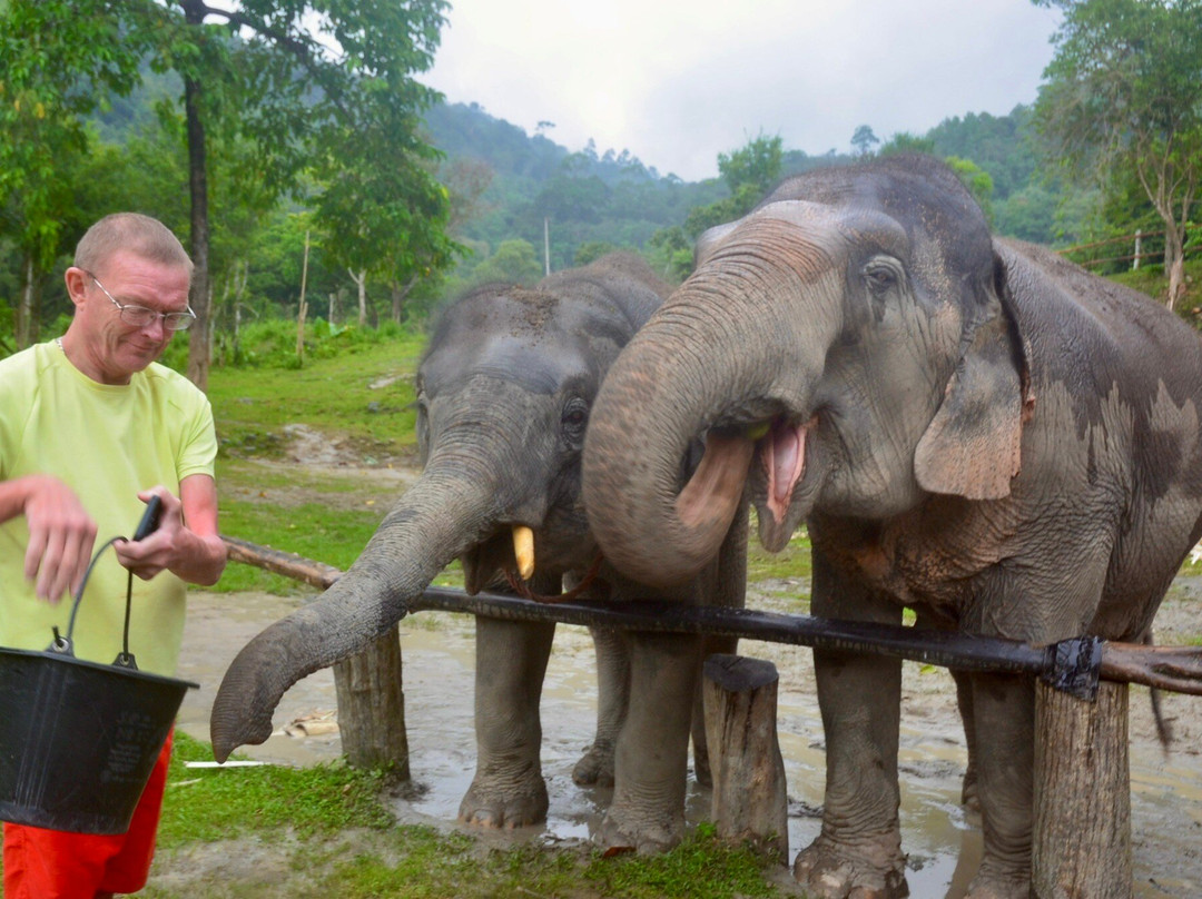 Tonsai  Elephant Care Camp Phuket-芭东海滩必去景点