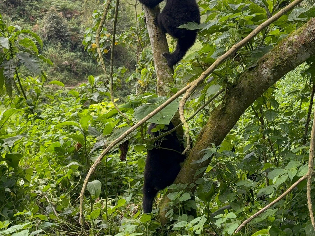 BUGOLI ADVENTURES LIMITED-卡巴莱必去景点