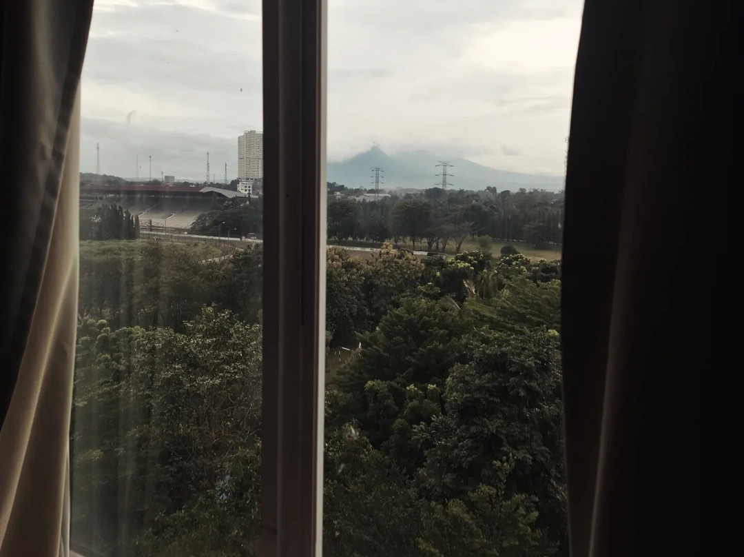 洛林酒店桑图主图