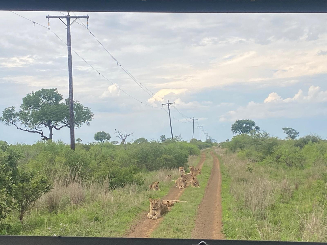 Royal Safaris-库马堤港必去景点