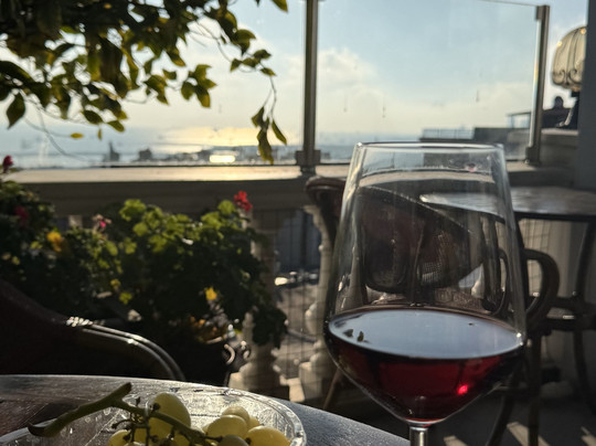 伊斯坦布尔奈尔斯酒店主图