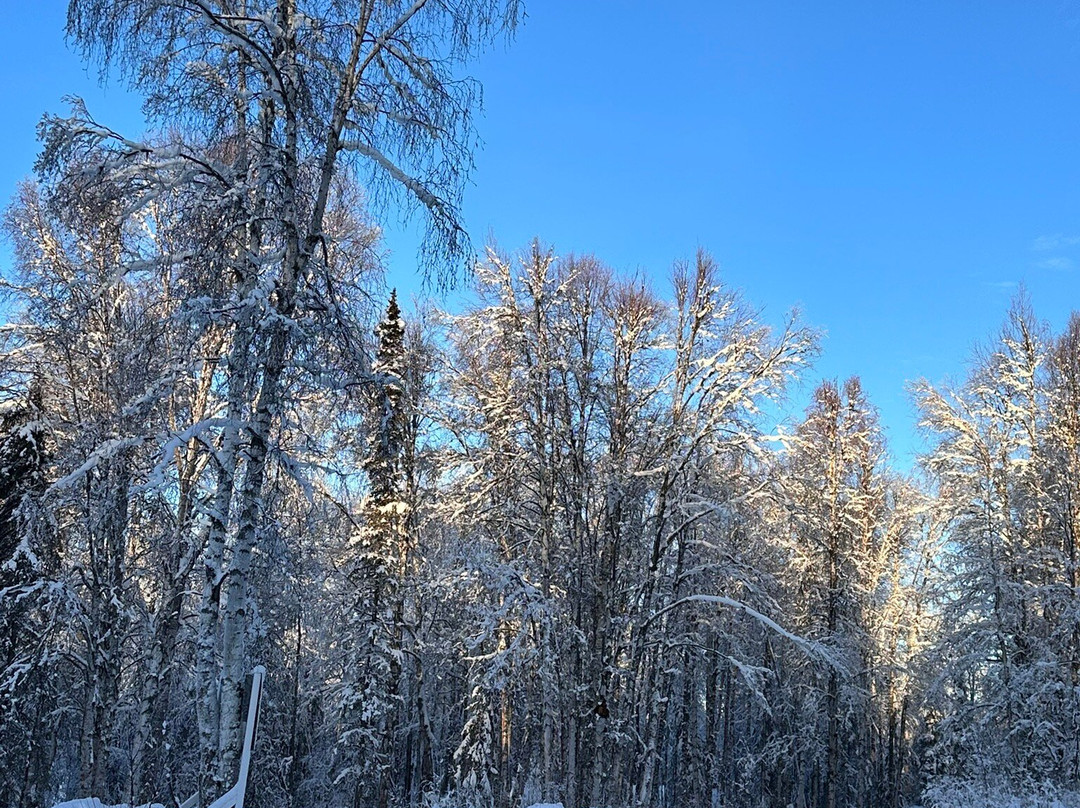 Snowhook Adventure Guides of Alaska-Willow必去景点