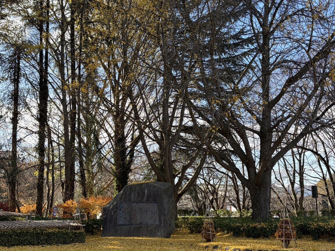 霞城公园-山形市必去景点