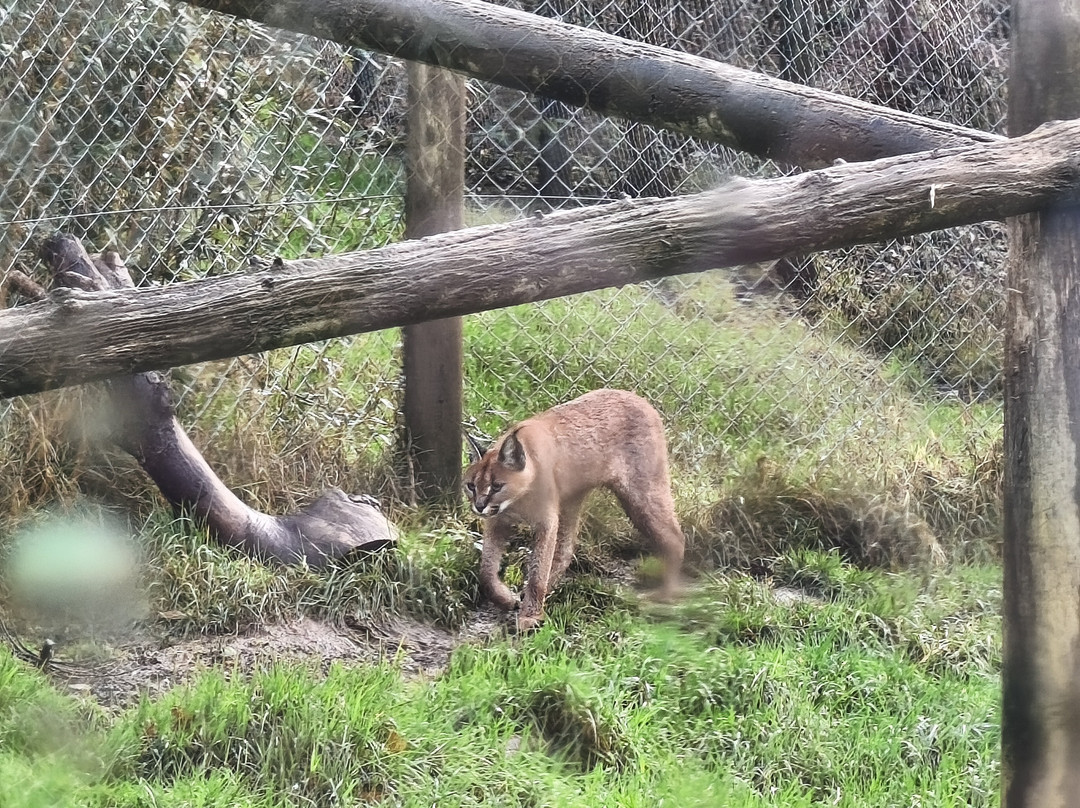 Exmoor Experience-Allerford必去景点
