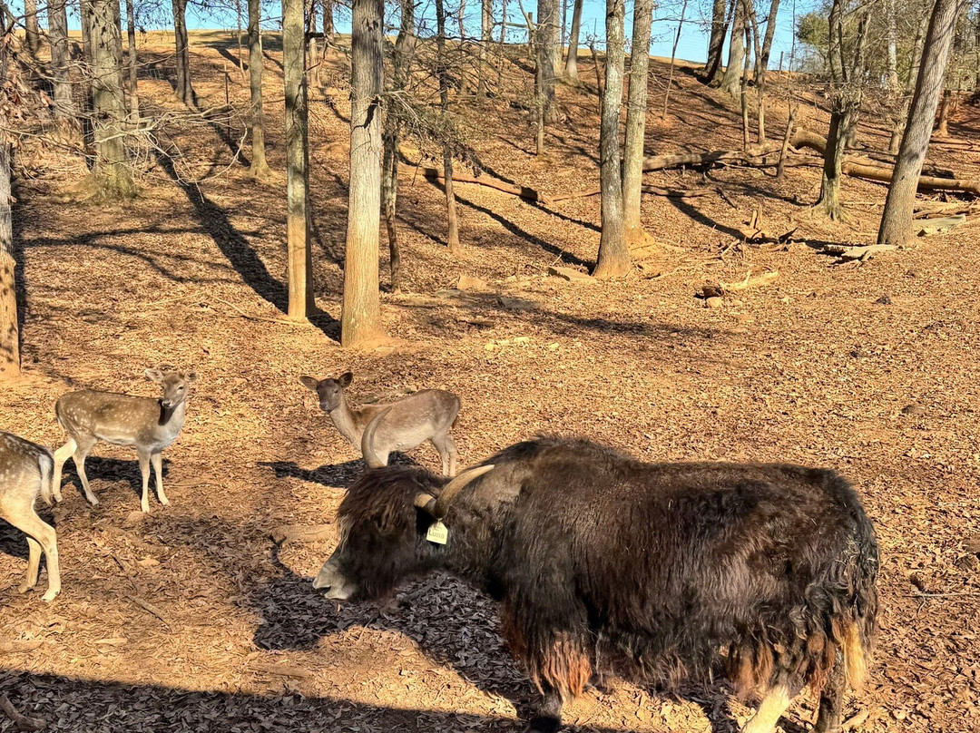 Lake Hartwell Wildlife Safari-Hartwell必去景点