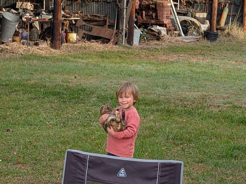 Gardner Tours-哈瓦那必去景点