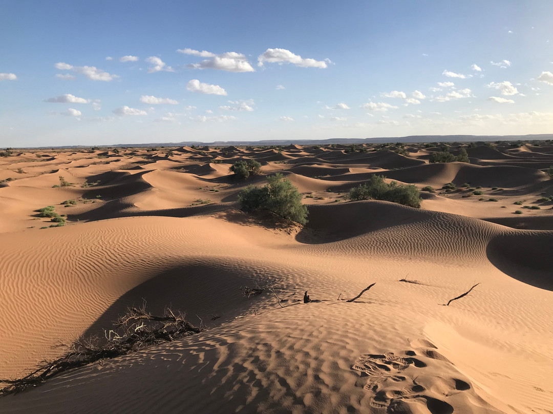 Mélodie du désert-迈哈米德必去景点