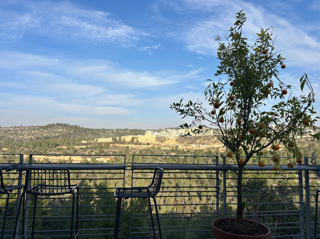 Domaine du Castel Winery-Yad Hashmona必去景点