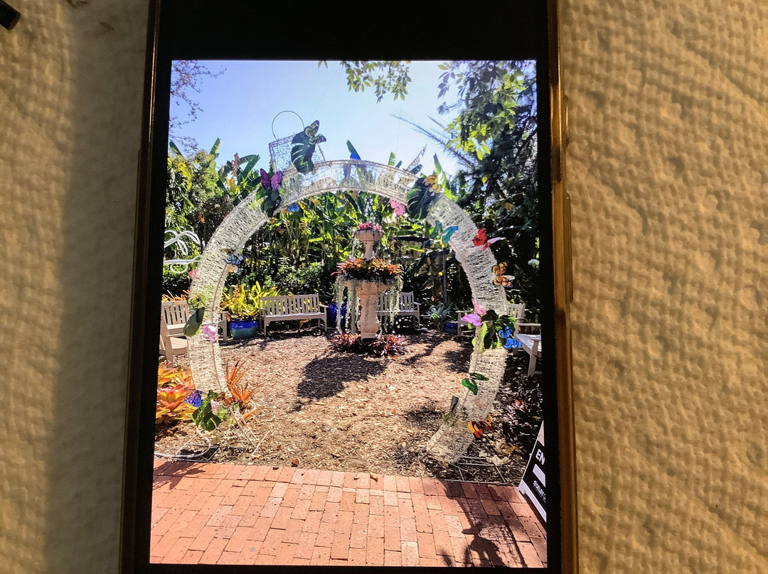 Marie Selby Botanical Gardens-萨拉索塔必去景点