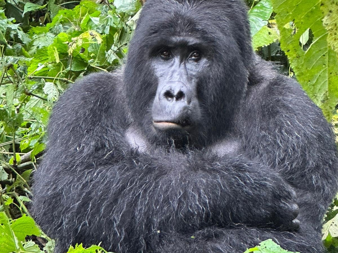 Grassrootz Adventures Uganda-坎帕拉必去景点